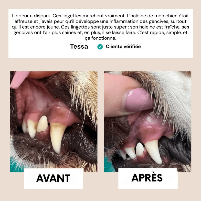 Dentipet™ – Lingettes hygiène dentaire animale