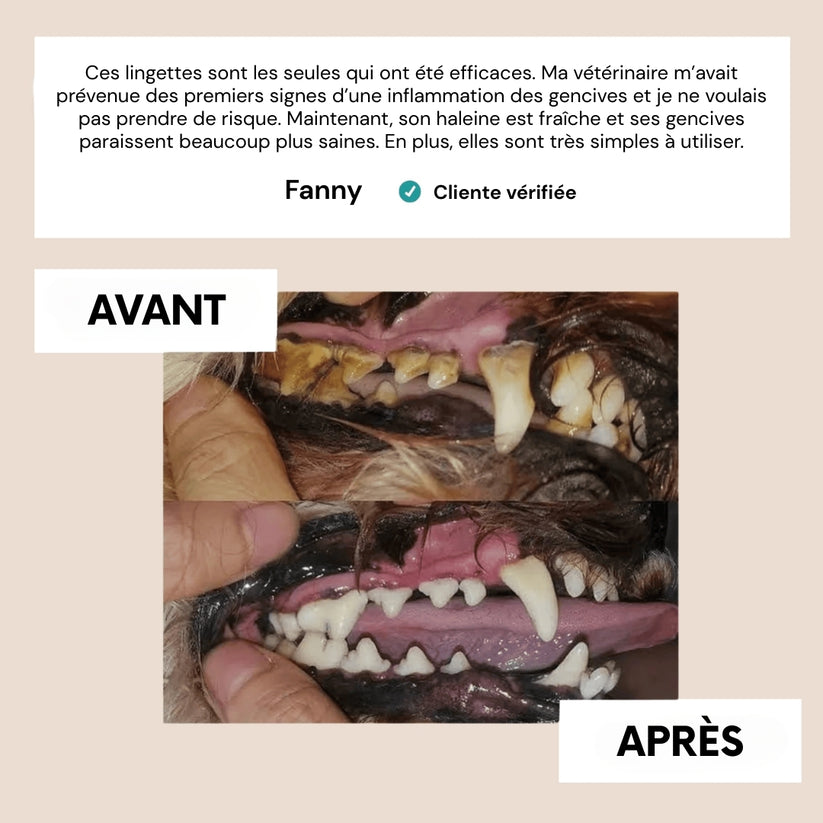 Dentipet™ – Lingettes hygiène dentaire animale